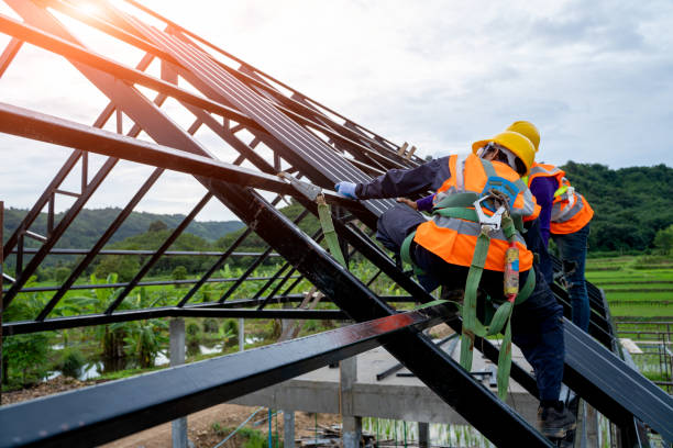 Best Metal Roofing Contractor  in Rice Lake, WI