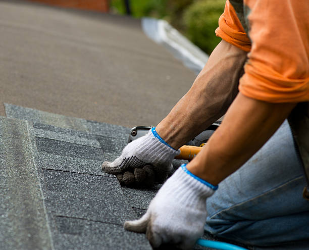 Best Flat Roof Repair Services  in Rice Lake, WI